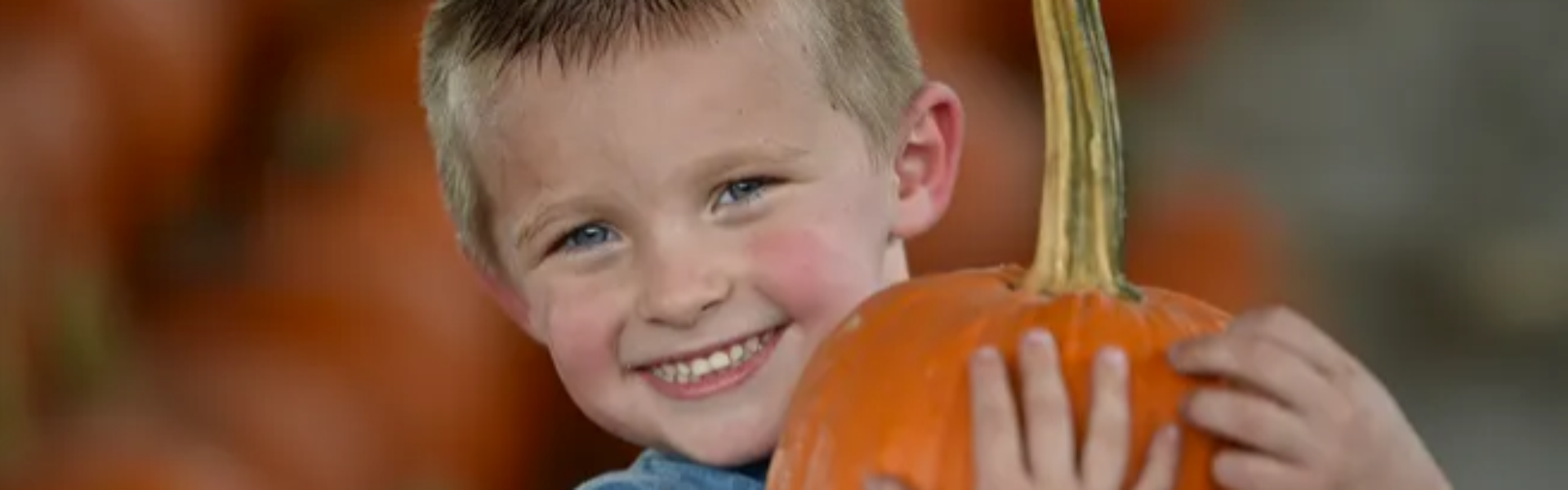 TROPICAL BEACH RESORTS pumpkin festival fruitville 2021
